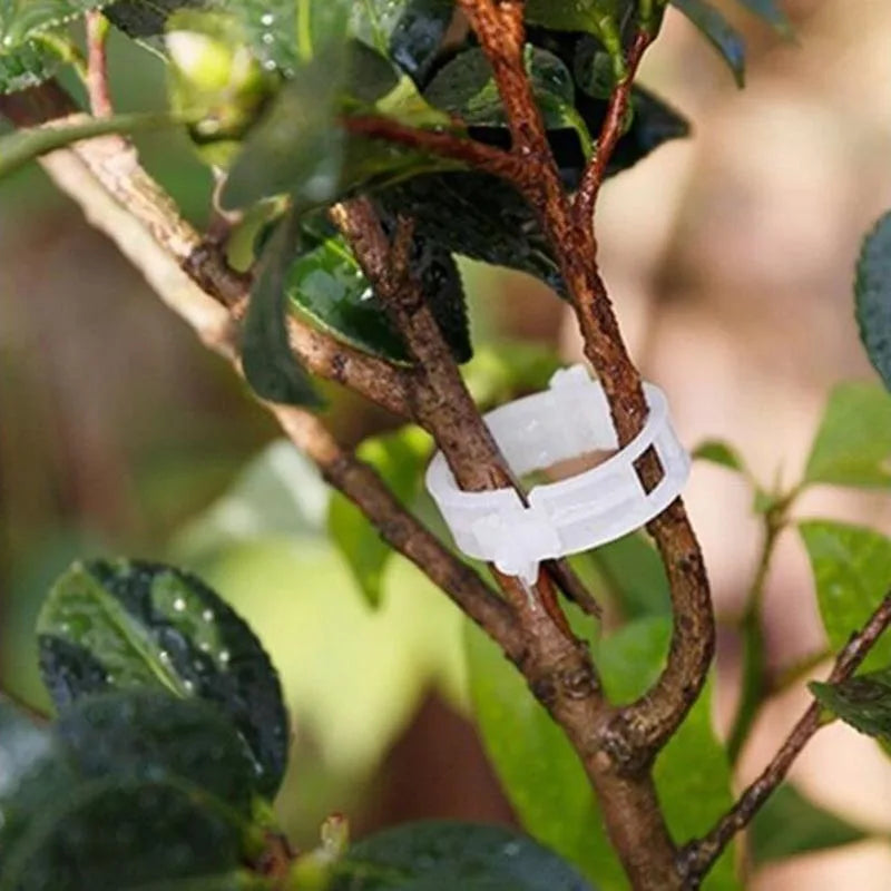 GardenClick™I Bevestigingsclips voor Tuinplanten