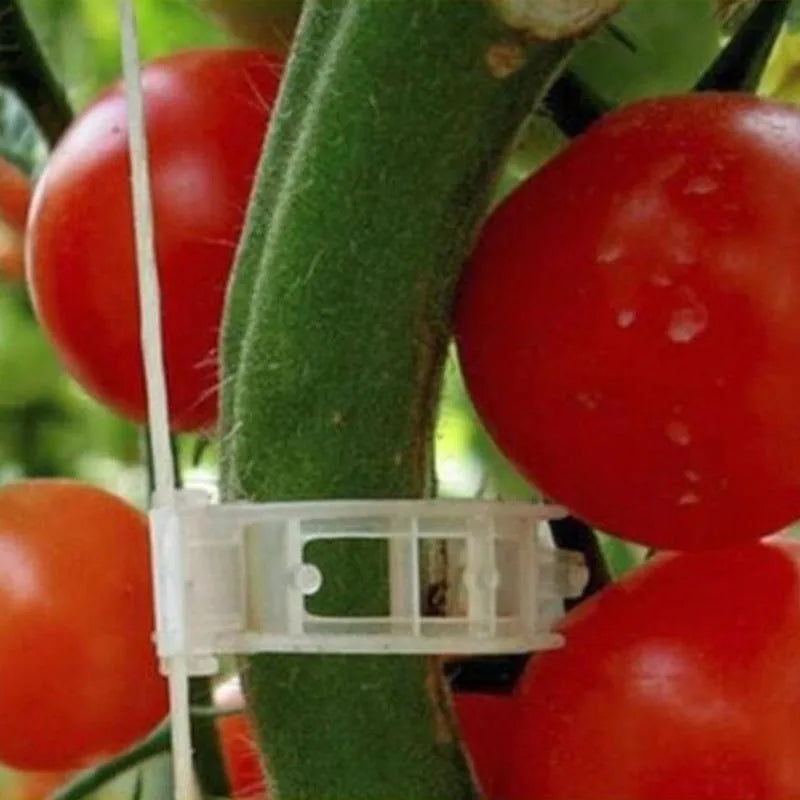 GardenClick™I Bevestigingsclips voor Tuinplanten