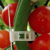 GardenClick™I Bevestigingsclips voor Tuinplanten