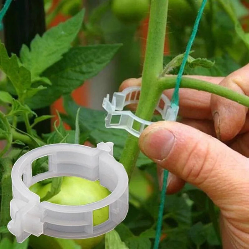 GardenClick™I Bevestigingsclips voor Tuinplanten