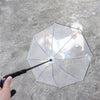 PetBrella™I Hou jouw viervoeter droog