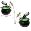 SkullyPot™ I Perfect voor Halloween liefhebber